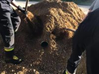 Monatsübung – Technische Hilfeleistung