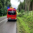 Baum auf Fahrbahn