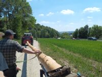 Maibaumabsicherung Lengthal